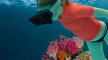 Eine Person mit VR-Brille und orangem Shirt taucht im Wasser und betrachtet farbenfrohe Korallen – Symbolbild für das VR-Schnorcheln im Stadtbad Schwerte.